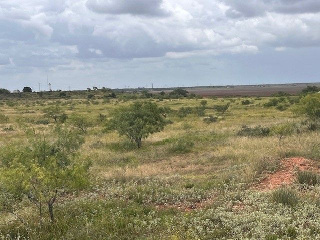 TBD3 County Road 405, Merkel, TX 79536