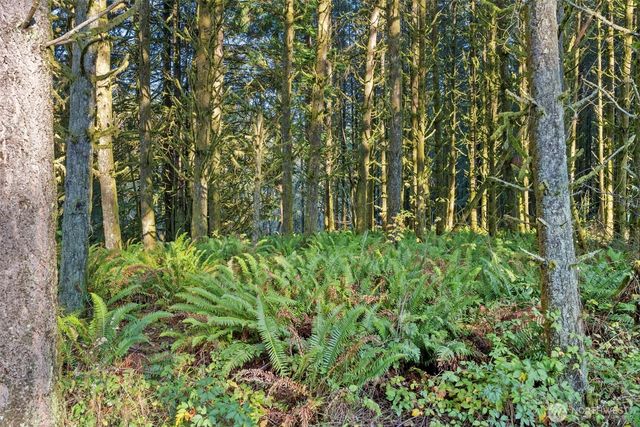 1895 North Fork Road, Chehalis, WA 98532