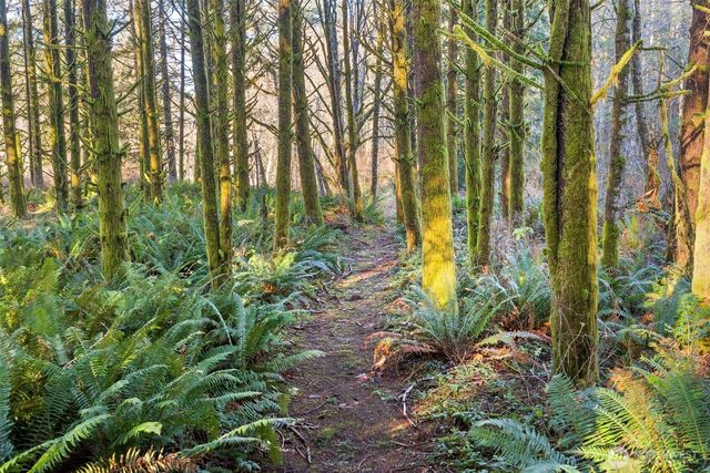 1895 North Fork Road, Chehalis, WA 98532