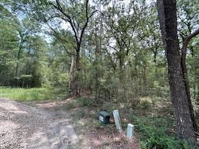 0 Hackberry Ct, Huntsville, TX 77320