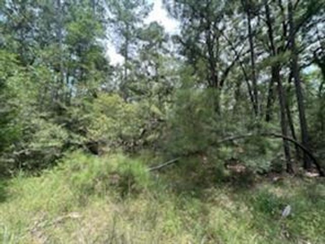 0 Hackberry Ct, Huntsville, TX 77320