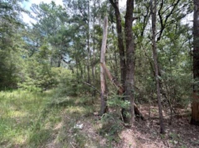 0 Hackberry Ct, Huntsville, TX 77320