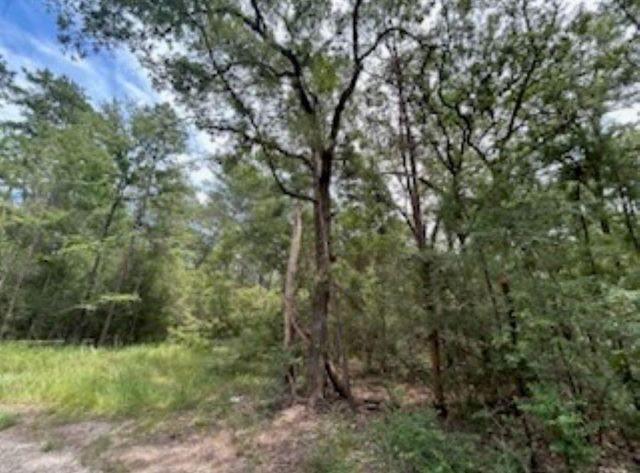 0 Hackberry Ct, Huntsville, TX 77320
