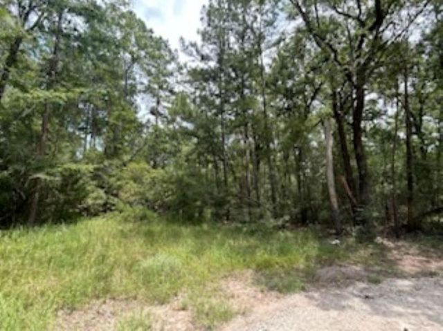 0 Hackberry Ct, Huntsville, TX 77320