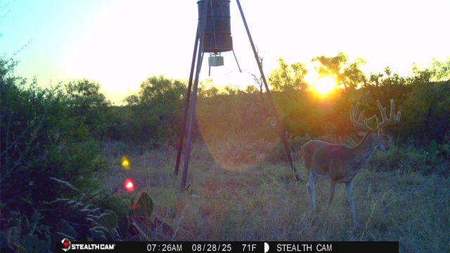 4243 Highway 2247, Comanche, TX 76442