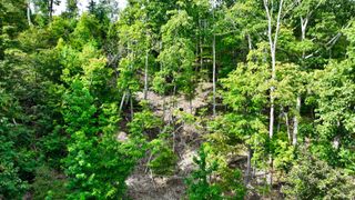 57 Ridge Top Rd, Stewart, TN 37175