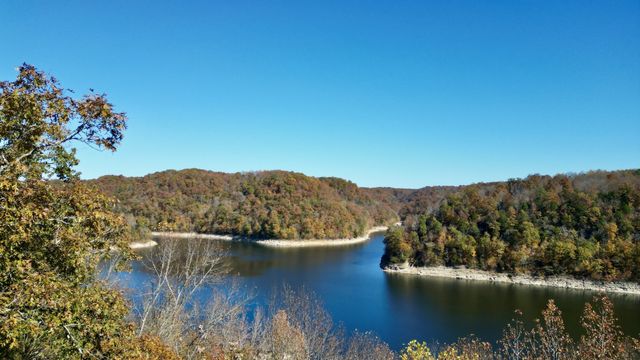 290 Spring Circle, Smithville, TN 37166