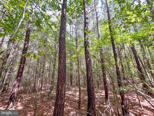 25.5 ACRES LADYSMITH, Ruther Glen, VA 22546