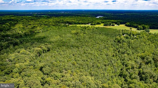25.5 ACRES LADYSMITH, Ruther Glen, VA 22546