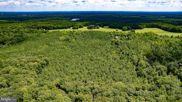 25.5 ACRES LADYSMITH, Ruther Glen, VA 22546