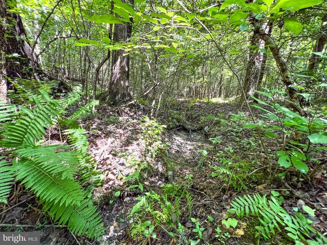 25.5 ACRES LADYSMITH, Ruther Glen, VA 22546