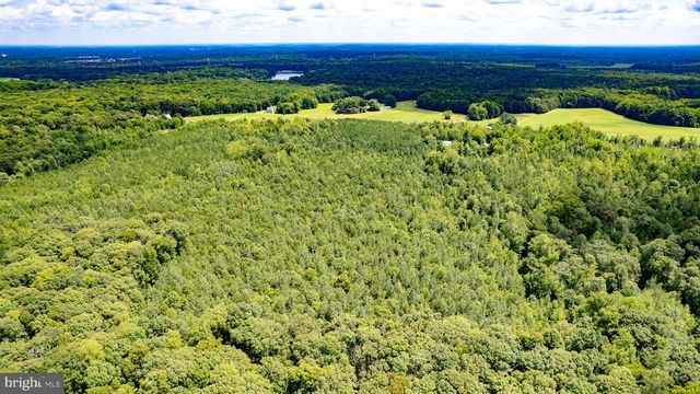 25.5 ACRES LADYSMITH, Ruther Glen, VA 22546