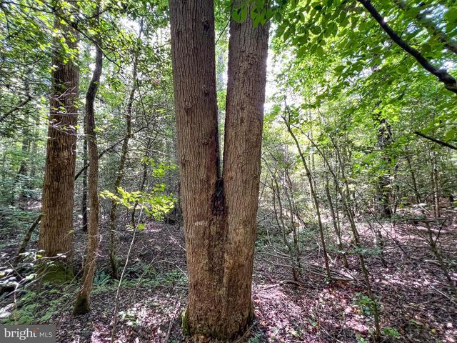 25.5 ACRES LADYSMITH, Ruther Glen, VA 22546