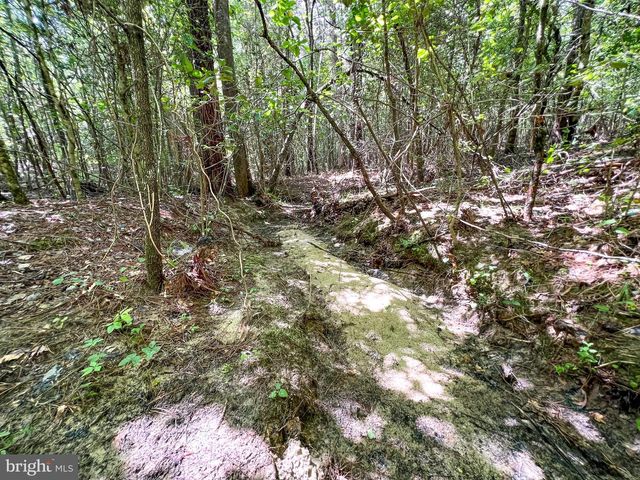 25.5 ACRES LADYSMITH, Ruther Glen, VA 22546