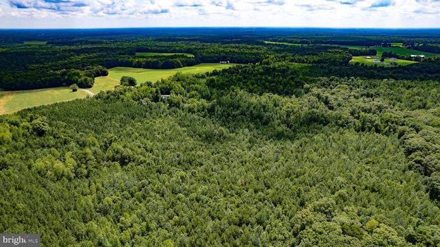 25.5 ACRES LADYSMITH, Ruther Glen, VA 22546