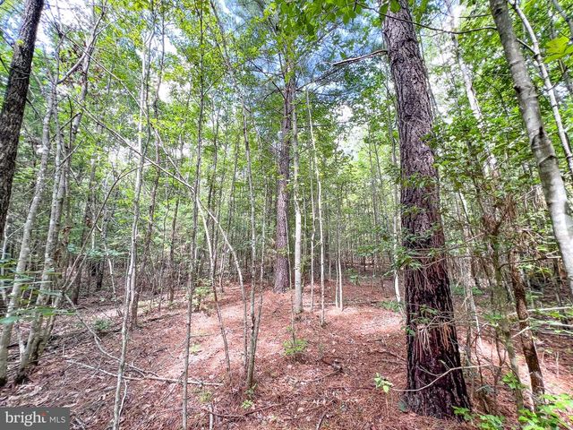 25.5 ACRES LADYSMITH, Ruther Glen, VA 22546