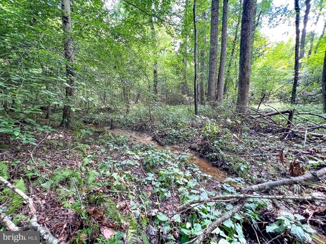 25.5 ACRES LADYSMITH, Ruther Glen, VA 22546