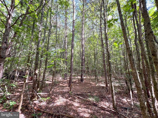 25.5 ACRES LADYSMITH, Ruther Glen, VA 22546