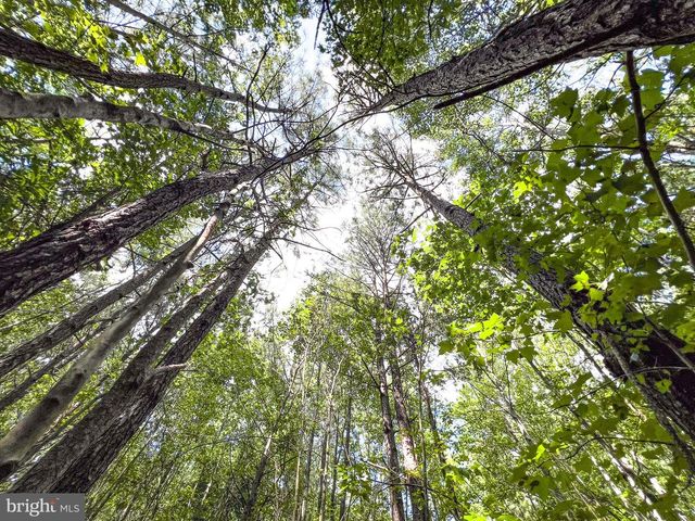 25.5 ACRES LADYSMITH, Ruther Glen, VA 22546
