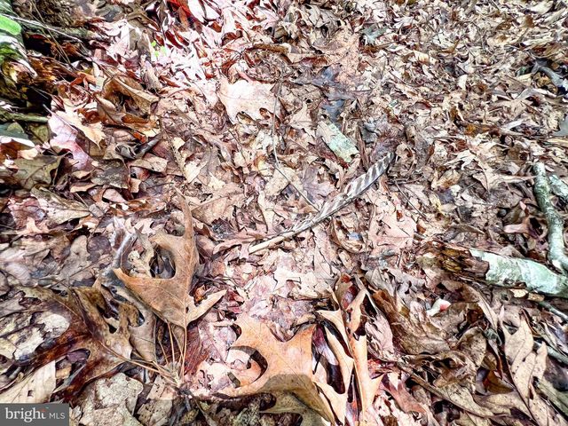 25.5 ACRES LADYSMITH, Ruther Glen, VA 22546