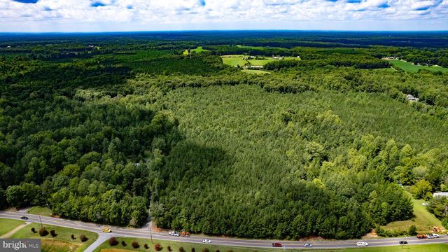 25.5 ACRES LADYSMITH, Ruther Glen, VA 22546
