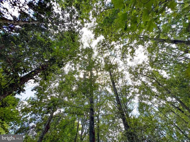 25.5 ACRES LADYSMITH, Ruther Glen, VA 22546