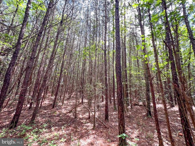 25.5 ACRES LADYSMITH, Ruther Glen, VA 22546