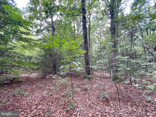 25.5 ACRES LADYSMITH, Ruther Glen, VA 22546