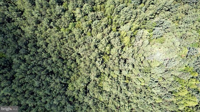 25.5 ACRES LADYSMITH, Ruther Glen, VA 22546