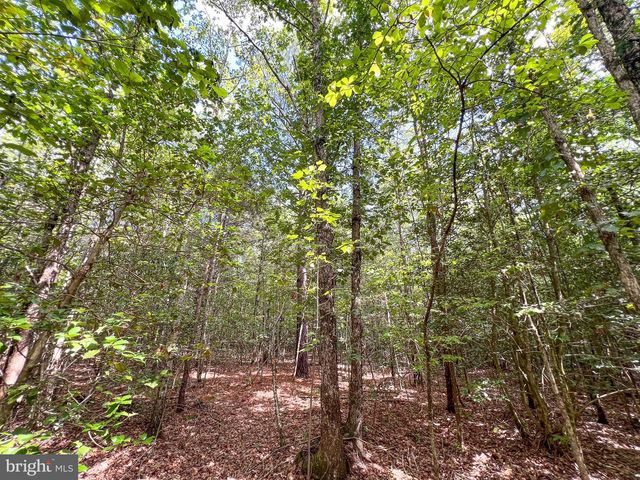 25.5 ACRES LADYSMITH, Ruther Glen, VA 22546