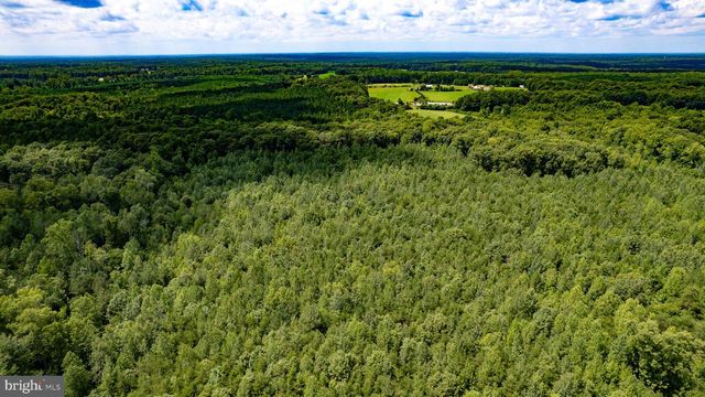 25.5 ACRES LADYSMITH, Ruther Glen, VA 22546