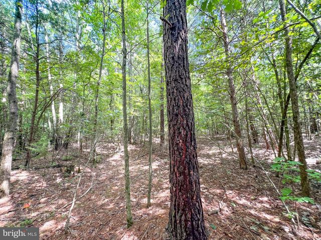 25.5 ACRES LADYSMITH, Ruther Glen, VA 22546