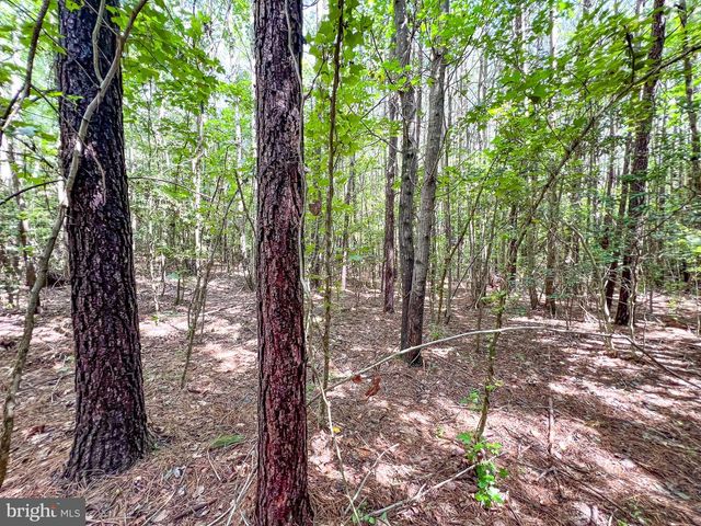 25.5 ACRES LADYSMITH, Ruther Glen, VA 22546