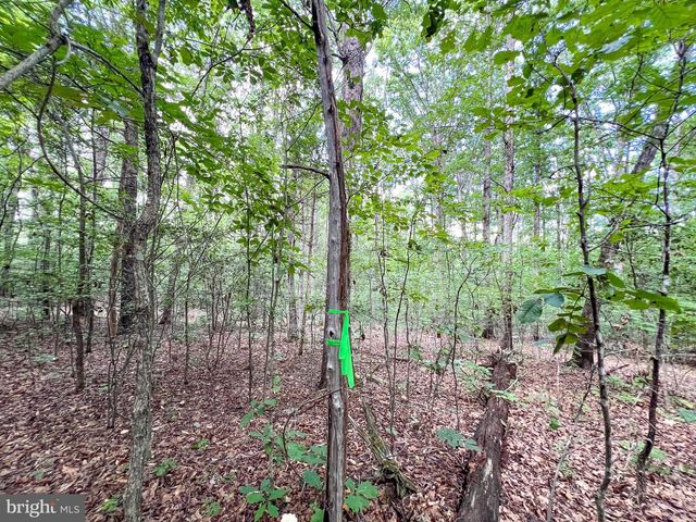 25.5 ACRES LADYSMITH, Ruther Glen, VA 22546