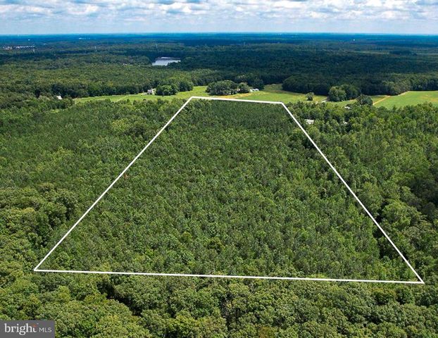 25.5 ACRES LADYSMITH, Ruther Glen, VA 22546