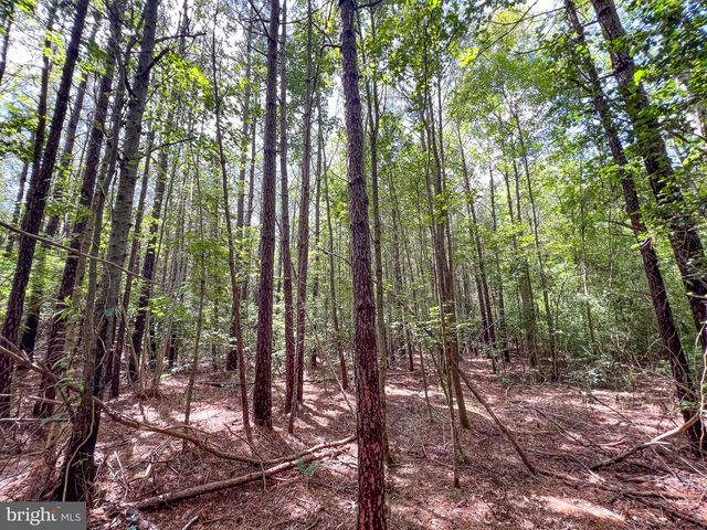 25.5 ACRES LADYSMITH, Ruther Glen, VA 22546