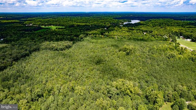 25.5 ACRES LADYSMITH, Ruther Glen, VA 22546