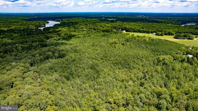 25.5 ACRES LADYSMITH, Ruther Glen, VA 22546