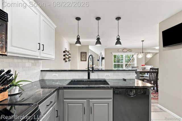 55407 Ambassador Court, Shelby Charter Township, MI 48316