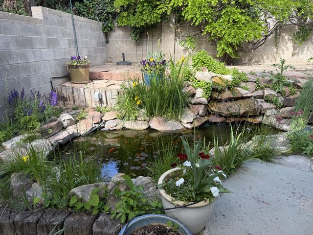 5536 Overlook Drive NE, Albuquerque, NM 87111