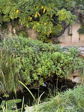 5536 Overlook Drive NE, Albuquerque, NM 87111