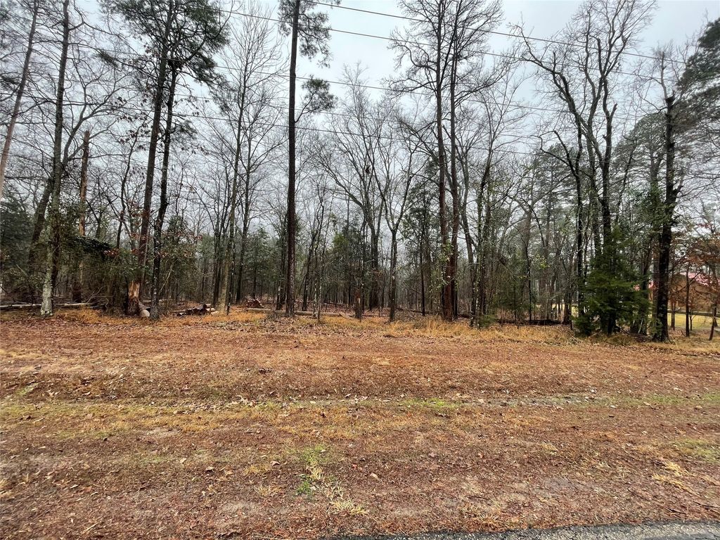TBD King Sebastion Road, Scroggins, TX 75480