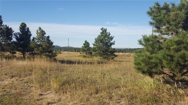 16935 Oldborough Heights, Monument, CO 80132