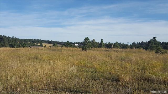 16935 Oldborough Heights, Monument, CO 80132