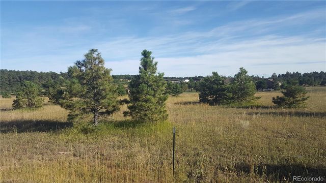 16935 Oldborough Heights, Monument, CO 80132