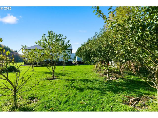 314 E VALLEY Rd, Skamokawa, WA 98647