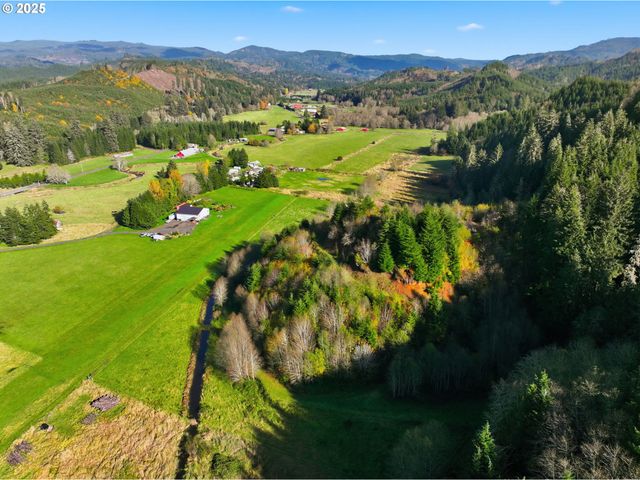 314 E VALLEY Rd, Skamokawa, WA 98647