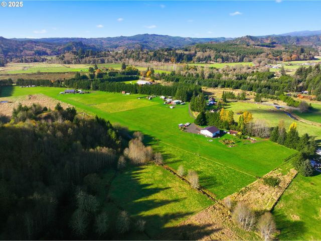 314 E VALLEY Rd, Skamokawa, WA 98647