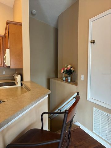 27825 PLEASURE RIDE LOOP, Wesley Chapel, FL 33544