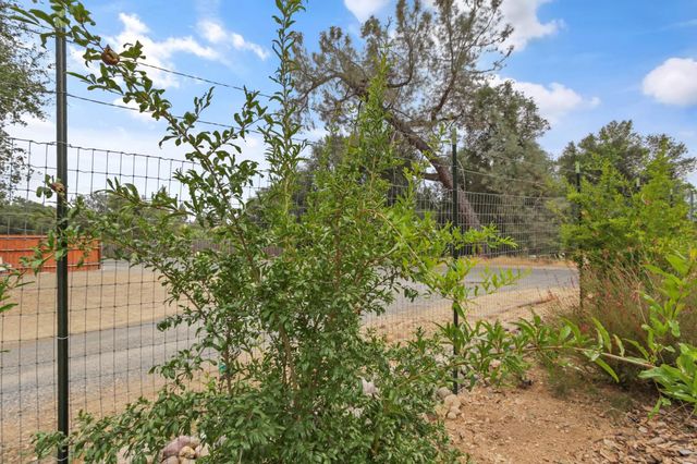 3671 Coon Hollow Rd, Placerville, CA 95667